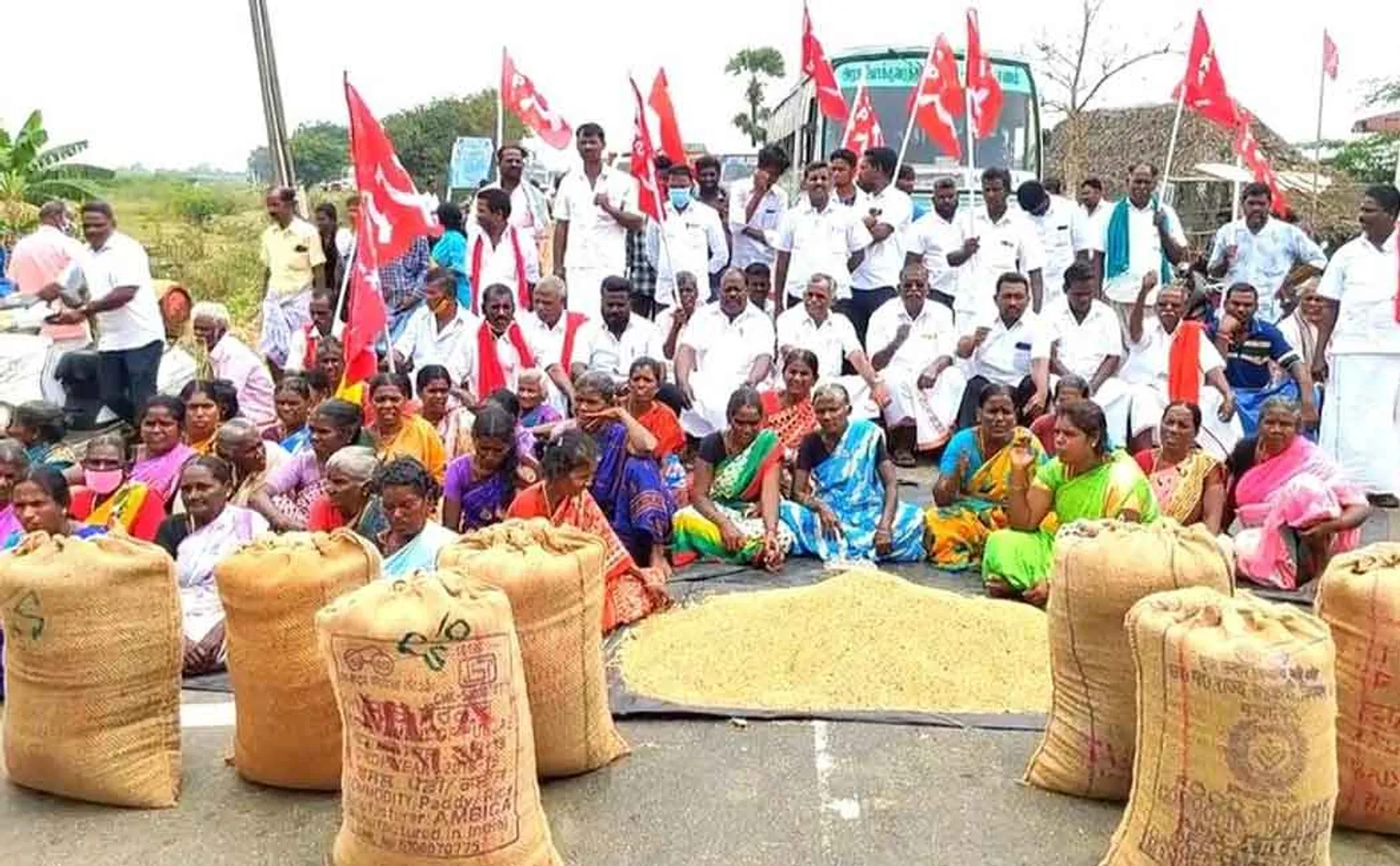 Direct Paddy Procurement Station will be opened in 24 hours Regional Manager Assurance